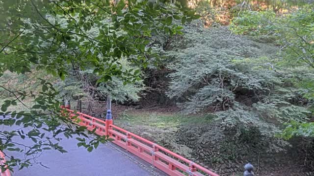 神護寺の見本画像（2026年10月）