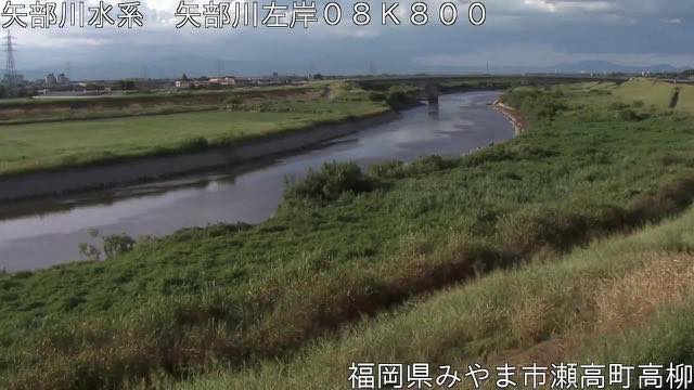 矢部川の見本画像（2026年8月）